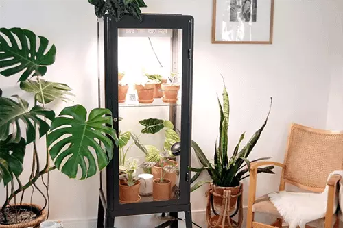 ikea greenhouse cabinet with plants